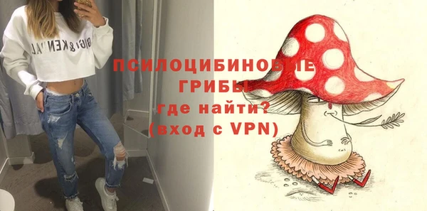 бошки Арсеньев