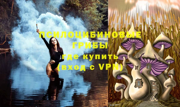 бошки Арсеньев