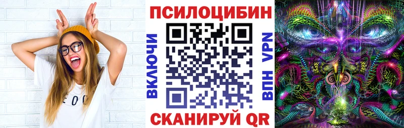 Галлюциногенные грибы Psilocybine cubensis  блэк спрут онион  Сокол  закладка 
